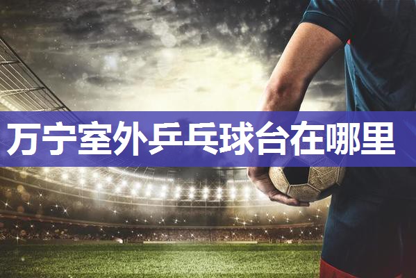 万宁室外乒乓球台在哪里