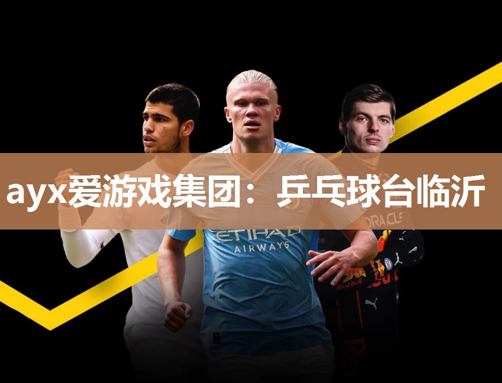 ayx爱游戏集团：乒乓球台临沂