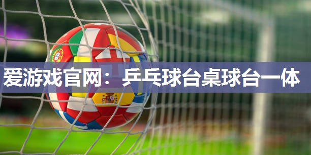 爱游戏官网：乒乓球台桌球台一体