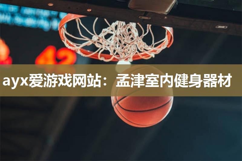 ayx爱游戏网站：孟津室内健身器材