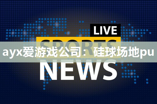 ayx爱游戏公司：硅球场地pu