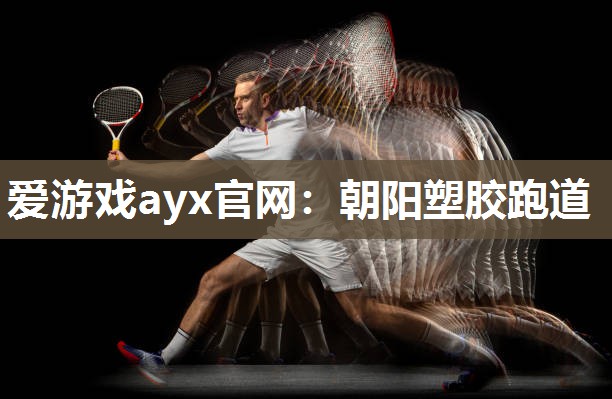 爱游戏ayx官网：朝阳塑胶跑道