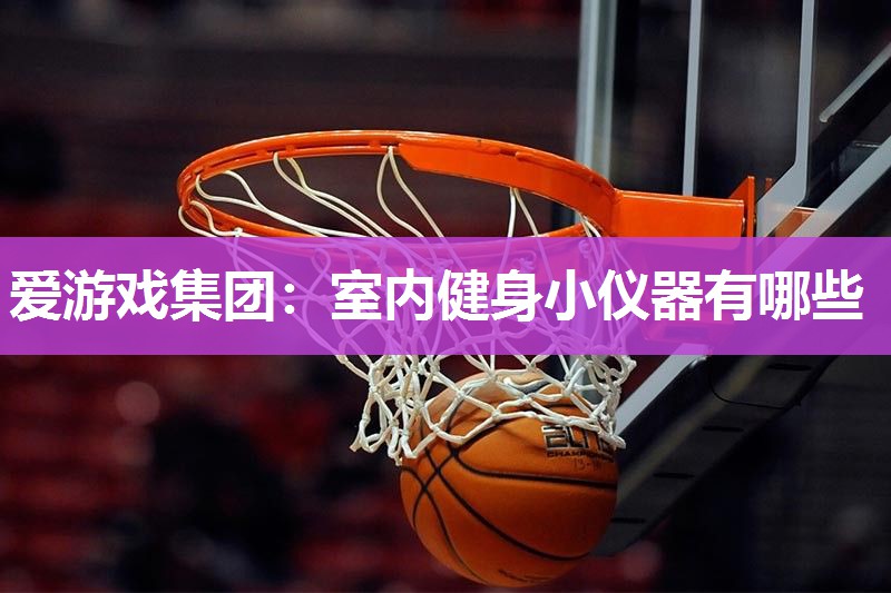 爱游戏集团：室内健身小仪器有哪些