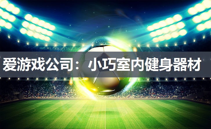 爱游戏公司：小巧室内健身器材