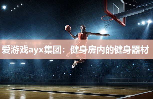 爱游戏ayx集团：健身房内的健身器材