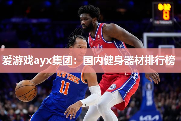 爱游戏ayx集团：国内健身器材排行榜