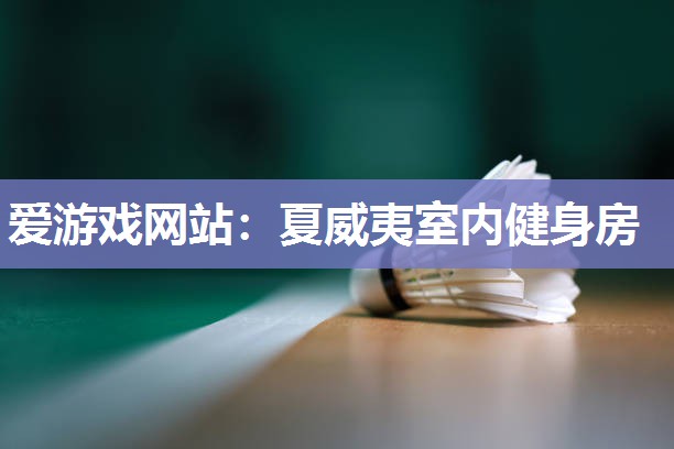 爱游戏网站：夏威夷室内健身房