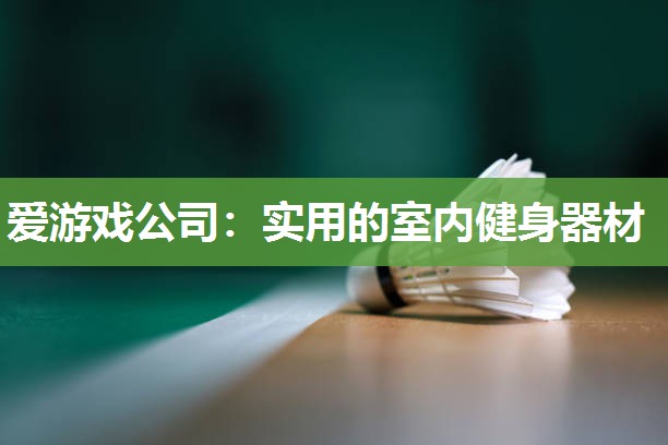 爱游戏公司：实用的室内健身器材