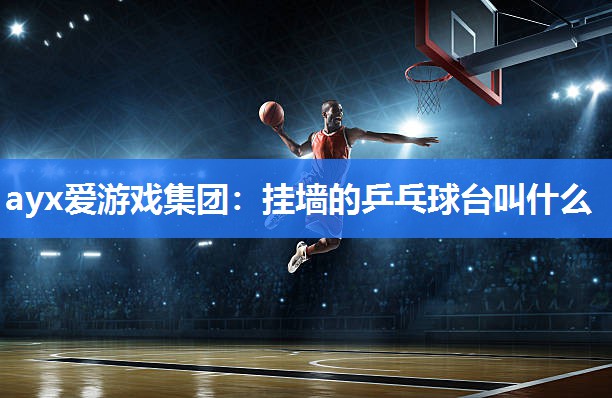 ayx爱游戏集团：挂墙的乒乓球台叫什么
