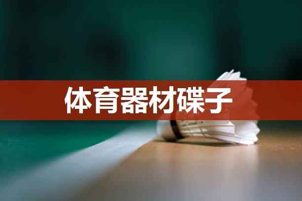 体育器材碟子