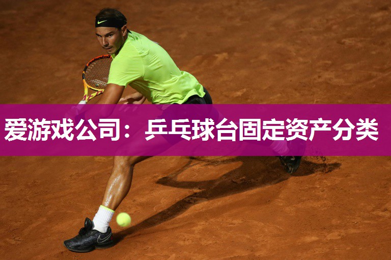 爱游戏公司：乒乓球台固定资产分类