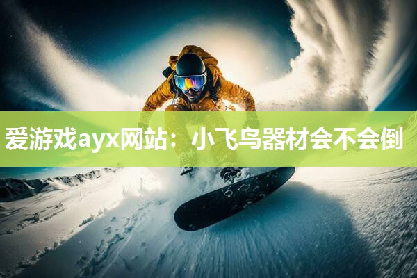 爱游戏ayx网站：小飞鸟器材会不会倒