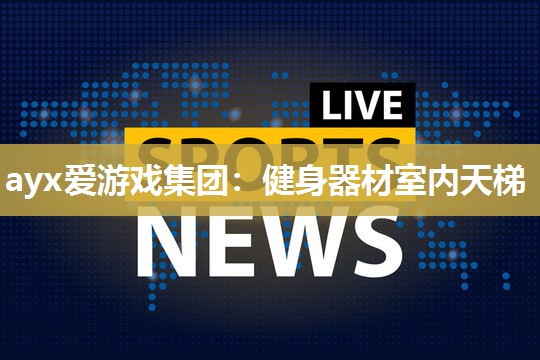 ayx爱游戏集团：健身器材室内天梯
