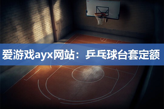 爱游戏ayx网站：乒乓球台套定额