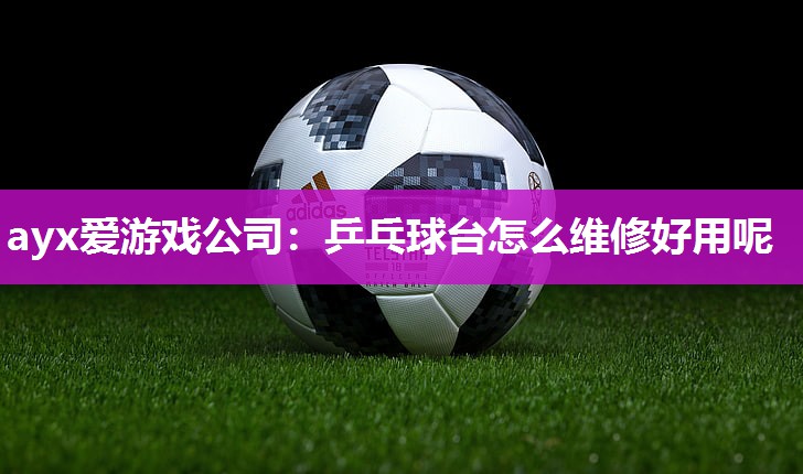 ayx爱游戏公司：乒乓球台怎么维修好用呢