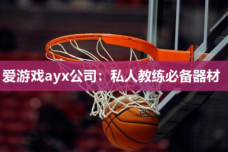 爱游戏ayx公司：私人教练必备器材