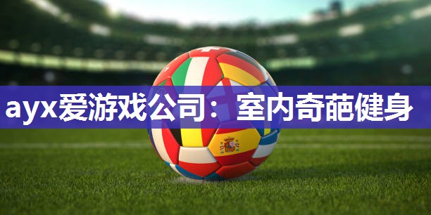 ayx爱游戏公司：室内奇葩健身