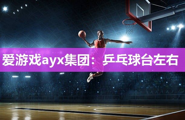 爱游戏ayx集团：乒乓球台左右