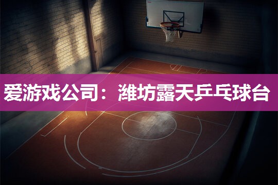 爱游戏公司：潍坊露天乒乓球台