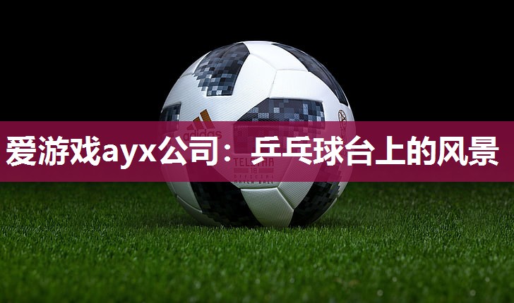 爱游戏ayx公司：乒乓球台上的风景