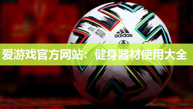 爱游戏官方网站：健身器材使用大全