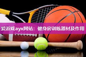 爱游戏ayx网站：健身房训练器材及作用