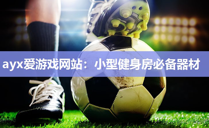 ayx爱游戏网站：小型健身房必备器材