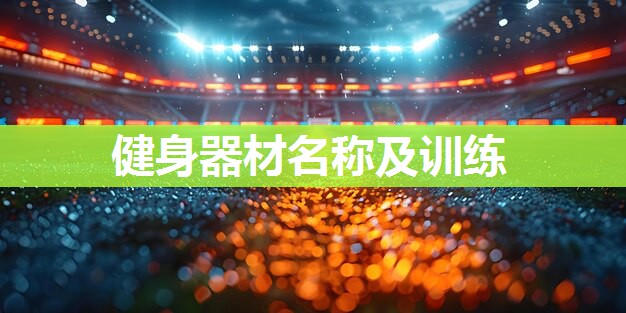 健身器材名称及训练
