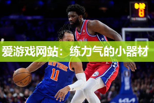 爱游戏网站：练力气的小器材