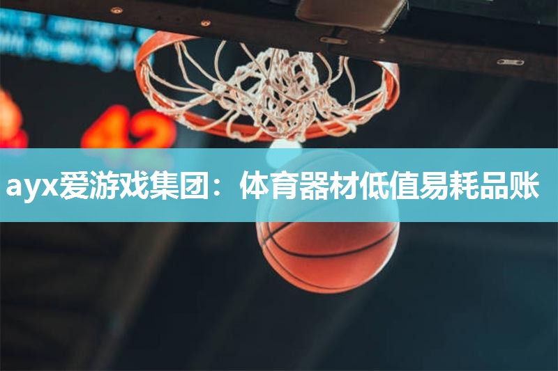 ayx爱游戏集团：体育器材低值易耗品账