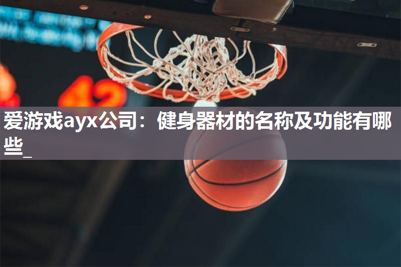 爱游戏ayx公司：健身器材的名称及功能有哪些_