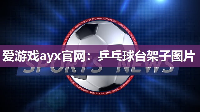 爱游戏ayx官网：乒乓球台架子图片