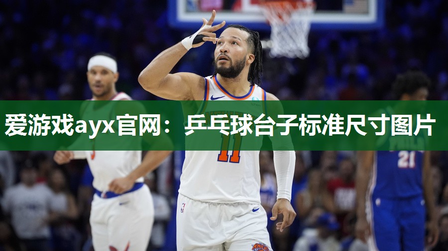 爱游戏ayx官网：乒乓球台子标准尺寸图片