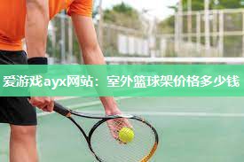 爱游戏ayx网站：室外篮球架价格多少钱