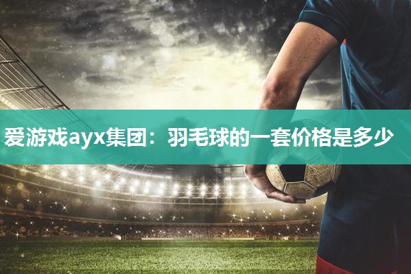 爱游戏ayx集团：羽毛球的一套价格是多少