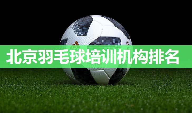 北京羽毛球培训机构排名
