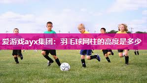 爱游戏ayx集团：羽毛球网柱的高度是多少