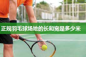 正规羽毛球场地的长和宽是多少米