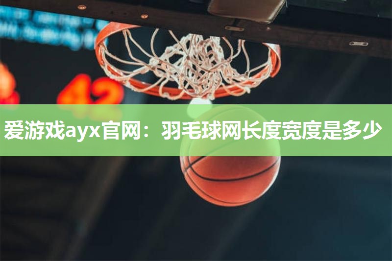 爱游戏ayx官网：羽毛球网长度宽度是多少