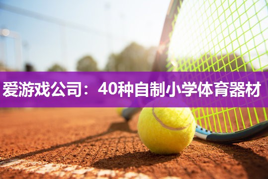 爱游戏公司：40种自制小学体育器材