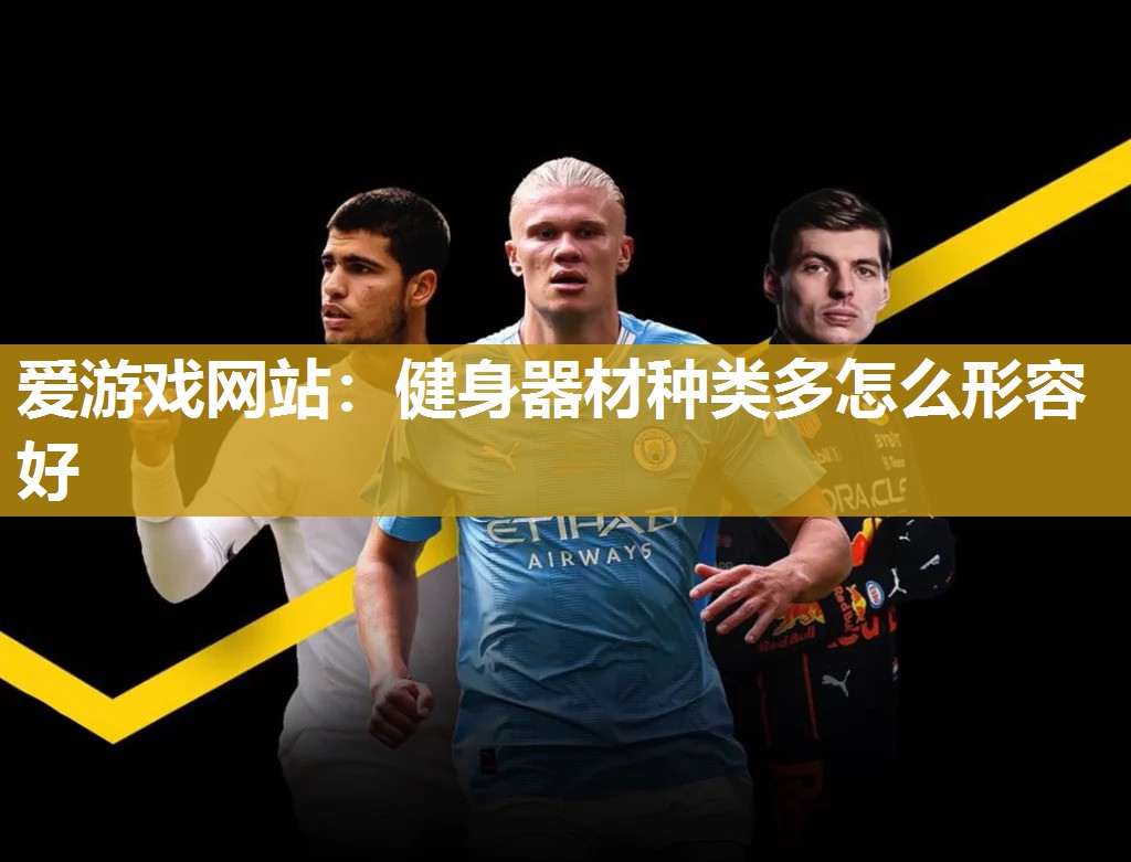 爱游戏网站：健身器材种类多怎么形容好