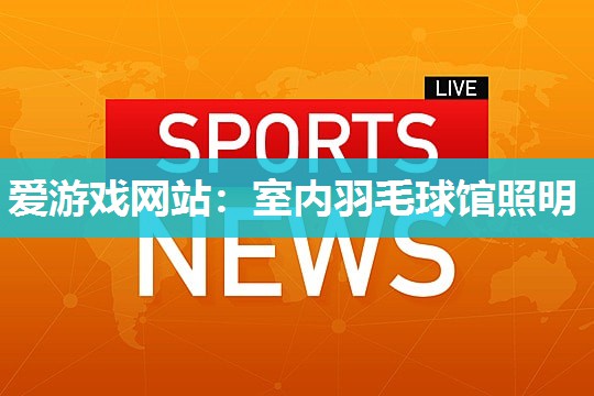 爱游戏网站：室内羽毛球馆照明