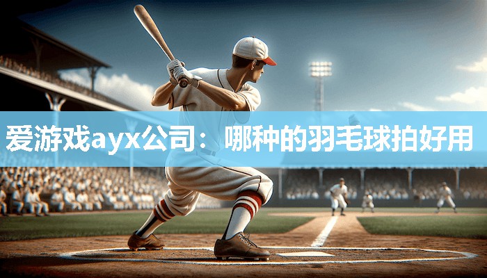 爱游戏ayx公司：哪种的羽毛球拍好用