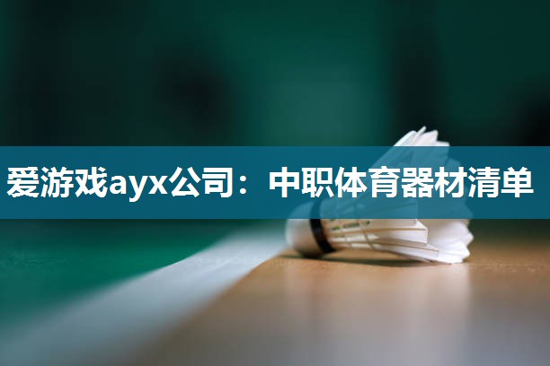 爱游戏ayx公司：中职体育器材清单