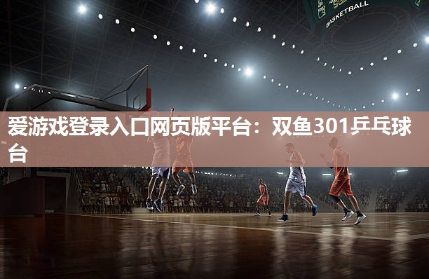 爱游戏登录入口网页版平台：双鱼301乒乓球台