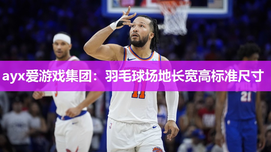 ayx爱游戏集团：羽毛球场地长宽高标准尺寸
