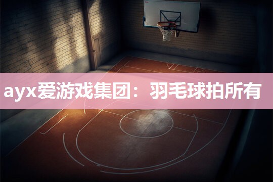 ayx爱游戏集团：羽毛球拍所有