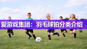 爱游戏集团：羽毛球拍分类介绍