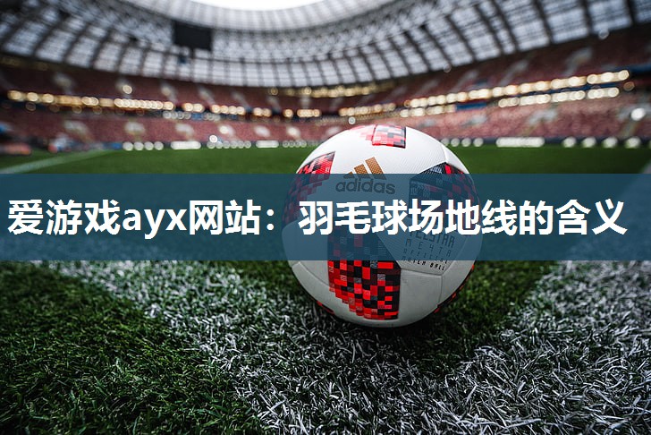 爱游戏ayx网站：羽毛球场地线的含义