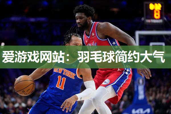 爱游戏网站：羽毛球简约大气